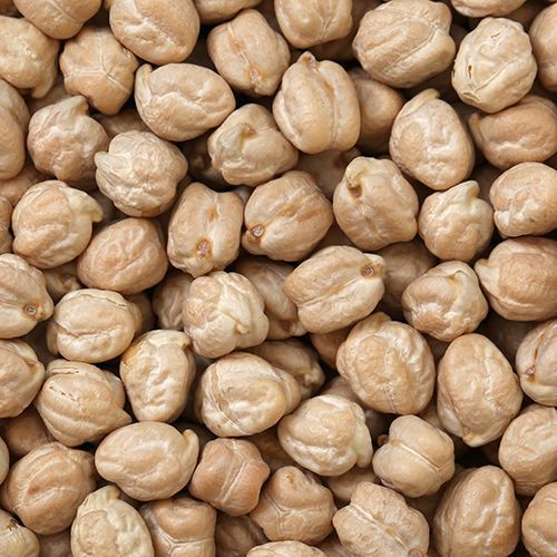 Kabooli channa